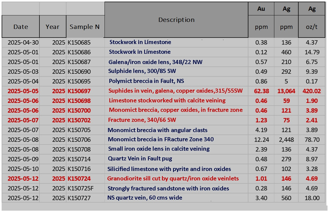Summary of 2025 Excellon Surface Sampling at Shafra